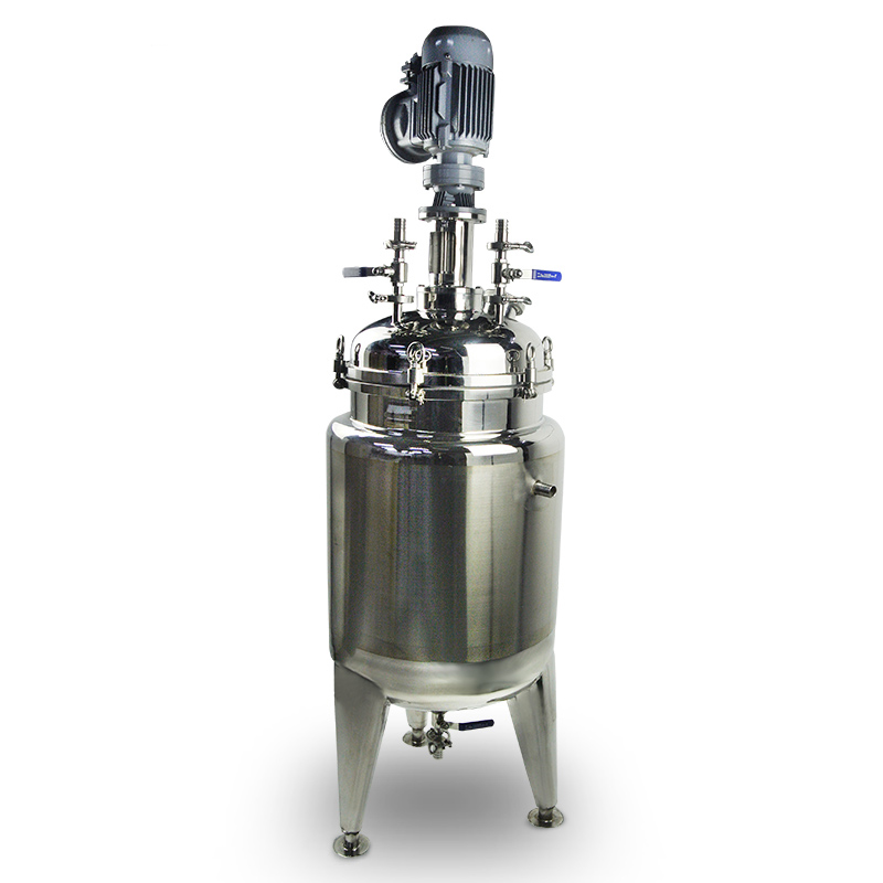 Stainless steel reactor