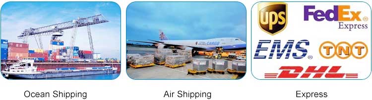 transport transport